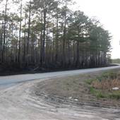 Daws Creek Road & Lee Buck Road