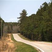 Daws Creek Road