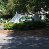 Raintree - Overview