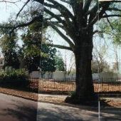 B'nai Israel Hebrew Cemetery