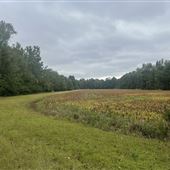 Trask Farms- Murrayville Farm (Trask Lake)