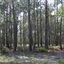 Trask Property - Daws Creek Road