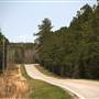Daws Creek Road