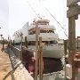 Royal Winner Princess II