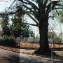 B'nai Israel Hebrew Cemetery
