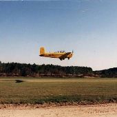 Bear Pen Air