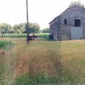 Barn