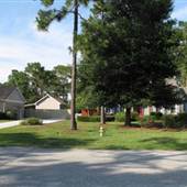 Widgeon Drive Overview