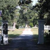 Pine Forest Cemetery