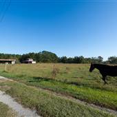 Grzejka Farm