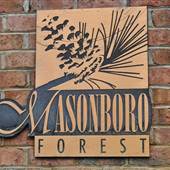 Masonboro Forest - Overview