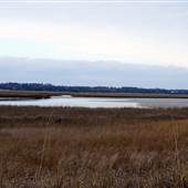 Wrightsville Beach North End