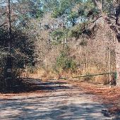 Burney Hunting Camp