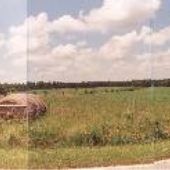 Ebenezer Forest Road