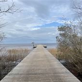 Lake Waccamaw State Park
