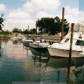 Scotts Hill Marina