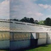 N.C.  Horticultural Crops Research Station