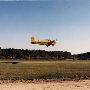 Bear Pen Air