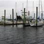 Masonboro Yacht Club & Marina