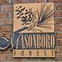 Masonboro Forest - Overview
