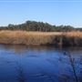 Pleasant Oaks - Water (Town Creek)
