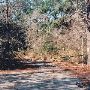 Burney Hunting Camp