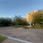 Cape Fear Community College - Sea Devil Courtyard
