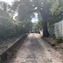 Alley - Off of Mimosa Place