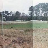 Canterbury Stables