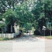 Caswell Avenue - Overview