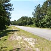 Old Dairy Farm Road