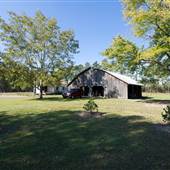 House #10058336