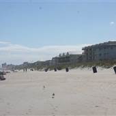 Carolina Beach - Beach Overview