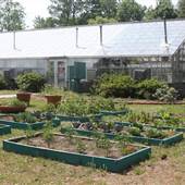 University of North Carolina at Wilmington - Kresge Greenhouse