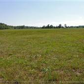 Piney Woods Road - Overview