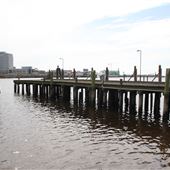 Cape Fear Industrial Supply