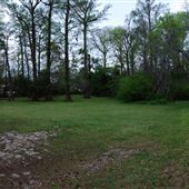 Forest Hills Park