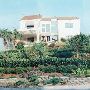 HOUSE #10001839