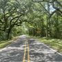 Plantation Road SE