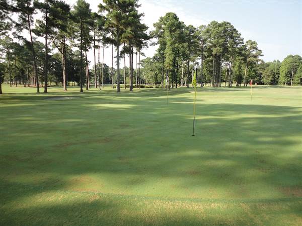 Cape Fear Country Club and Golf Course