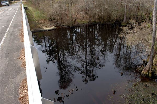 Morgan Road / Colly Creek Bridge