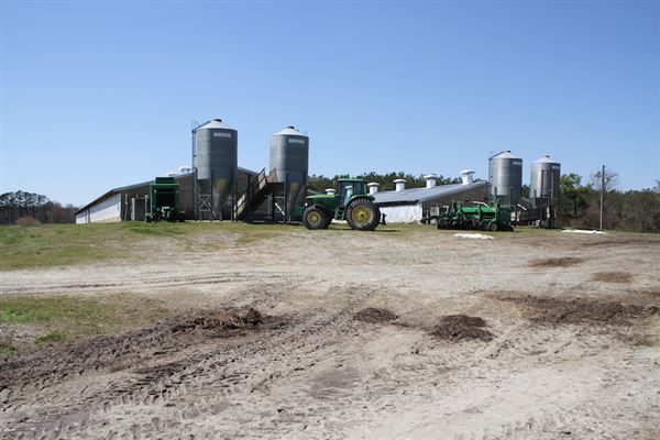 James Petterson Hog Farm