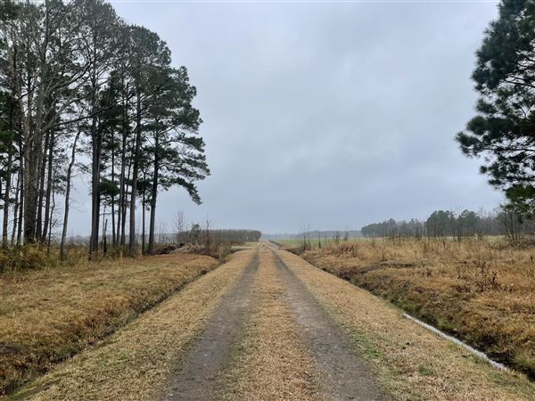 Penderlea Farms