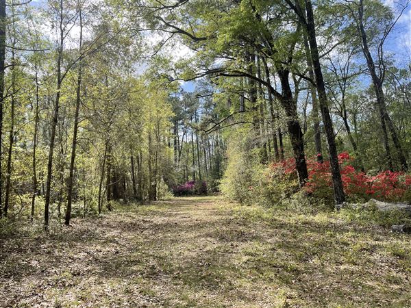 Ev-Henwood Nature Preserve