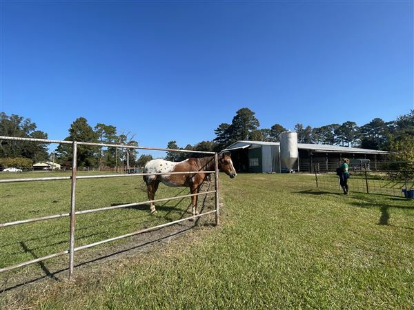 Horton's Rehab Ranch, Inc