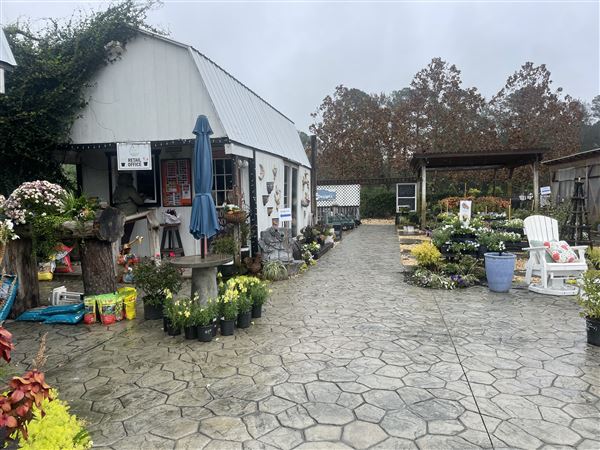 Johnson Nursery