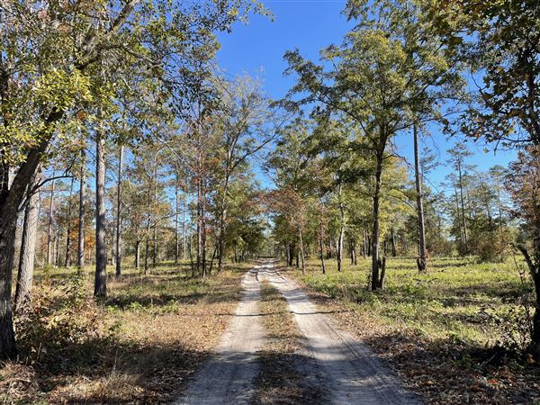 Trask Farms- Brunswick County Hunt Club