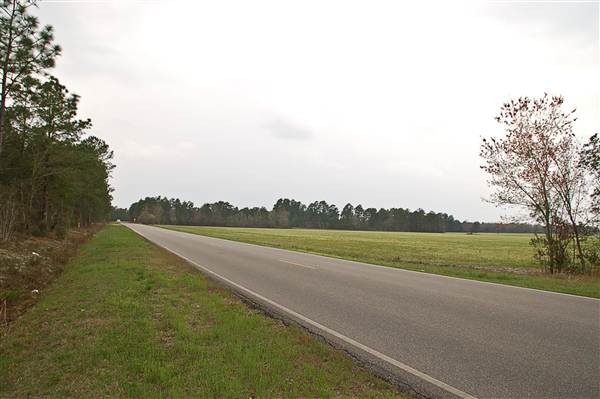 Blueberry Road