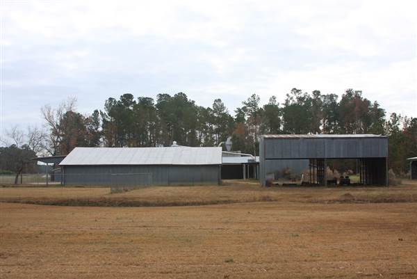 Nunalee Lumber