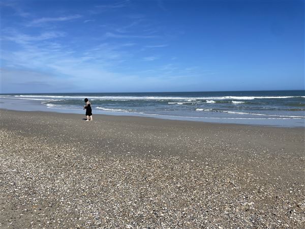 Carolina Beach - Beach Overview